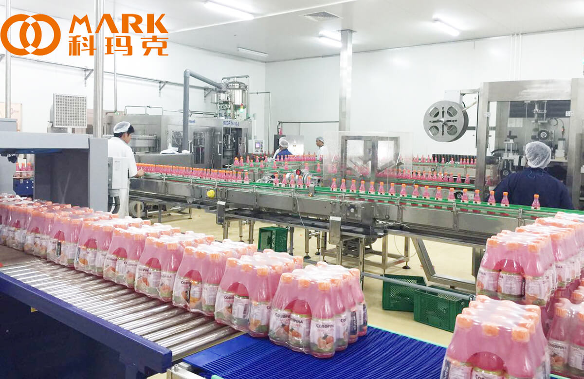 Fresh Fruit Juice Beverage Production Line